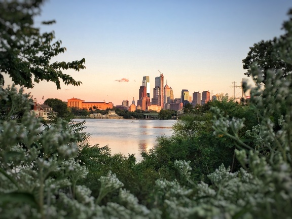 Philadelphia Skyline image by Taylor Fleming