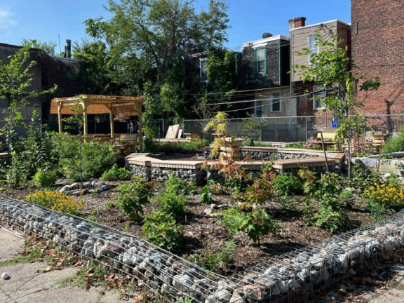 Cecil Street Garden