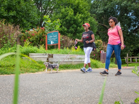 Cobbs Creek Trail