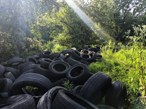 Illegally dumped tires in Tacony Creek Park