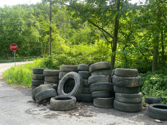 Tires dumped in a park