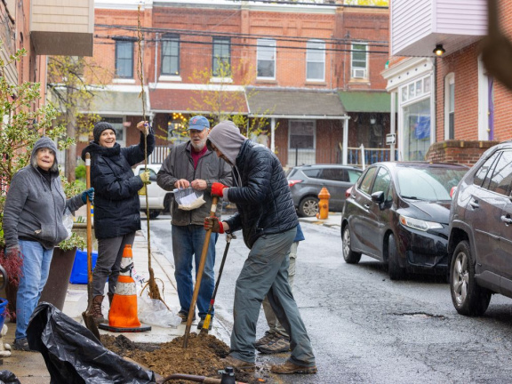 Group of people planting a tree