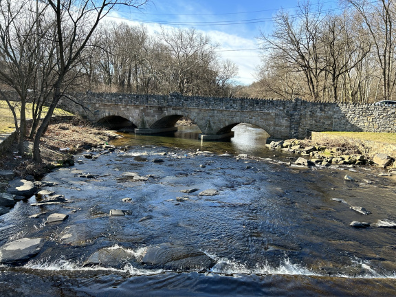 Shot of a bridge over a creek with barren winter trees on each side.