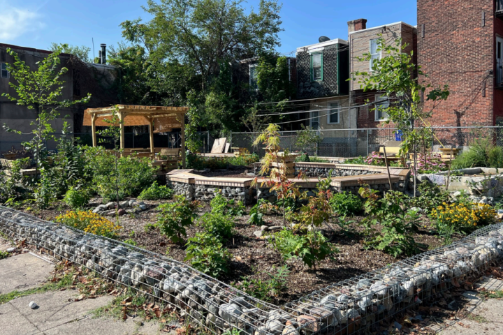 Cecil Street Garden