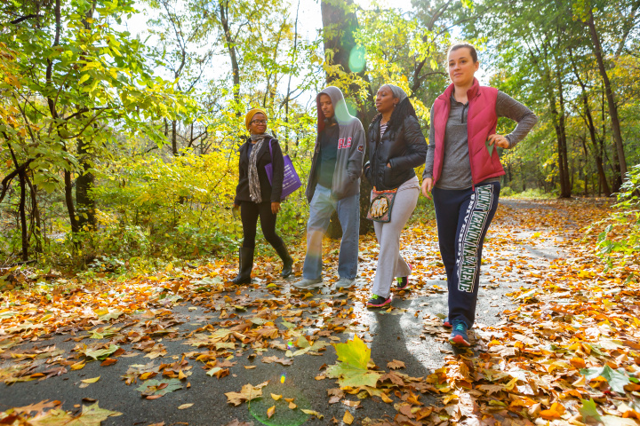 Group walking on a trail in autumn