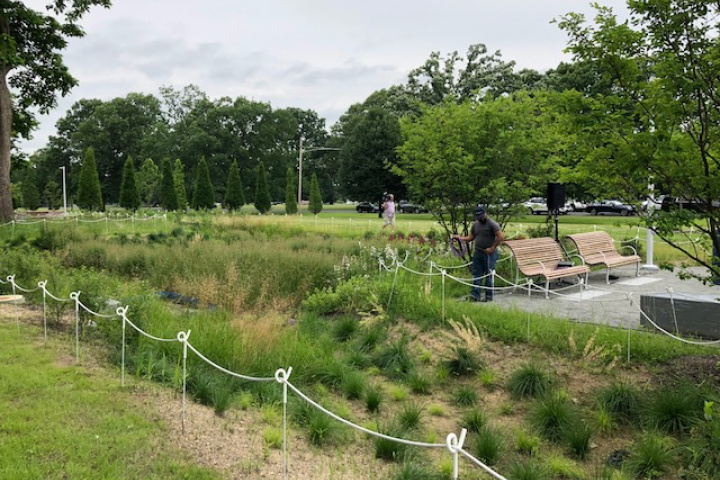A lush green public park with benches 