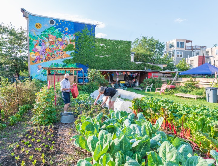 Emerald Street Community Farm