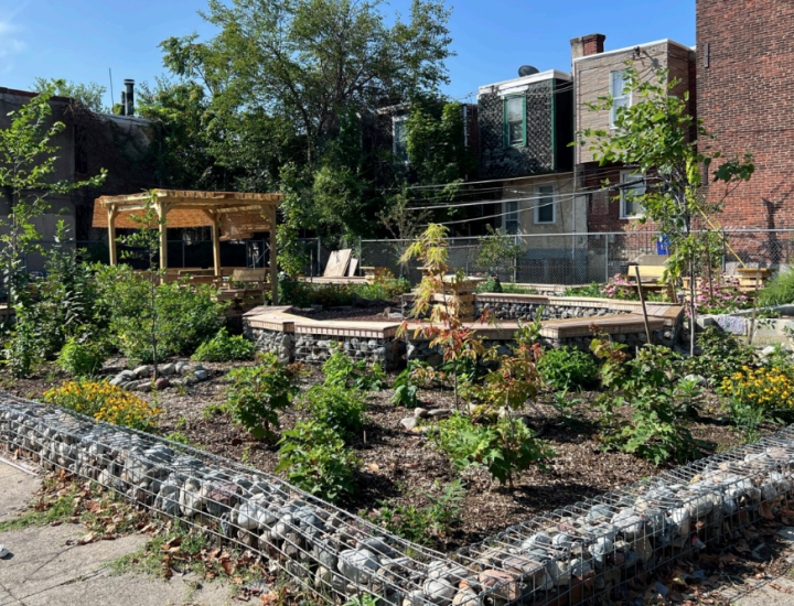 Cecil Street Garden